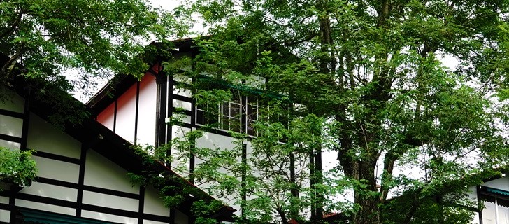 軽井沢 万平ホテル 夏 木々が深緑になっています 2018年8月19日