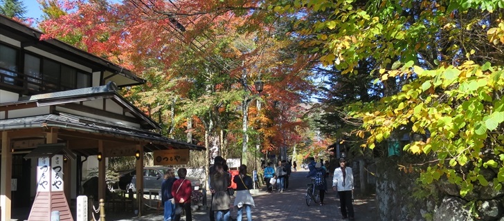 軽井沢のつるや旅館周辺の紅葉が見頃です