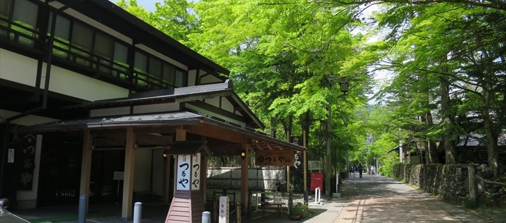 軽井沢のつるや旅館が新緑になっています