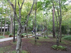 軽井沢高原教会の庭