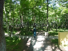 軽井沢 軽井沢高原教会の庭