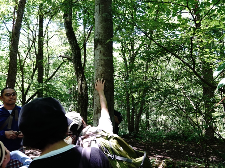 �c�L�m���O�}�̒܍�