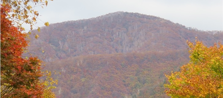 北軽井沢プレジデントリゾートの紅葉が見頃です