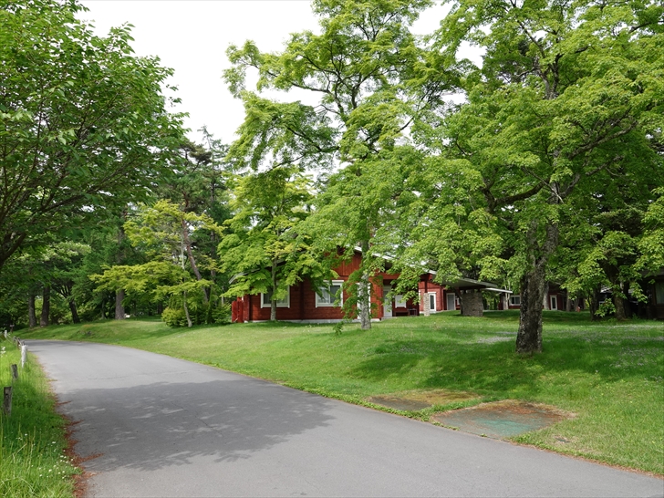 �R�e�[�W�ƐV��