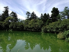 軽井沢 プリンスホテルウエスト 池の周りの桜を左側から