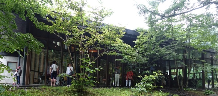軽井沢星野エリアの村民食堂も深い緑で包まれてます