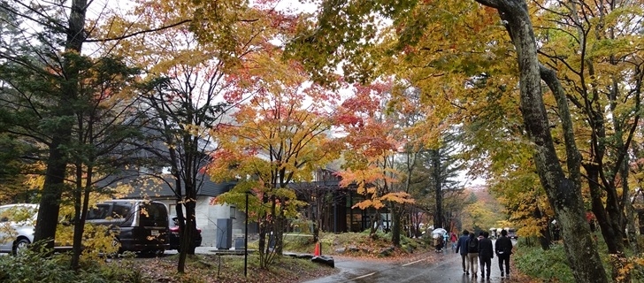 軽井沢 星野エリア 村民食堂 紅葉が最盛期 2017年10月29日雨