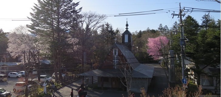 聖パウロカトリック教会の桜が満開です