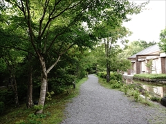 軽井沢 ハーヴェストクラブ 右の中庭