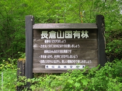 長倉山国有林