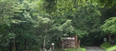 軽井沢 野鳥の森