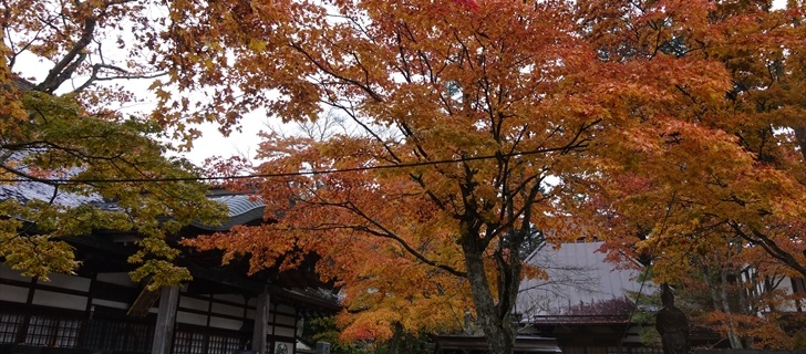 軽井沢 神宮寺の紅葉が最盛期 10月28日雨