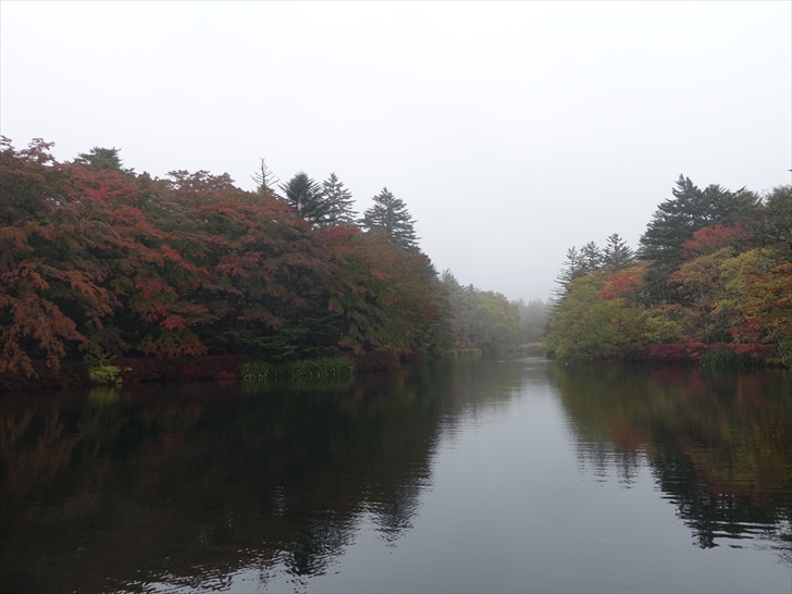 �y��� �_��r�̍g�t���n�܂��Ă��܂����A������28���O�ォ