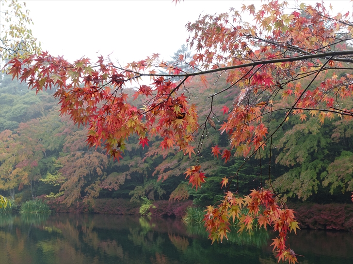 �_��r���~�W�g�t