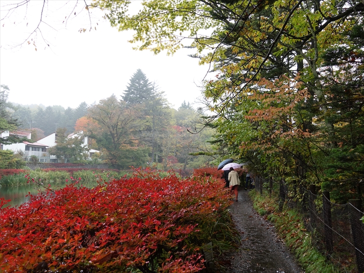 �_��r�h�E�_���c�c�W�g�t