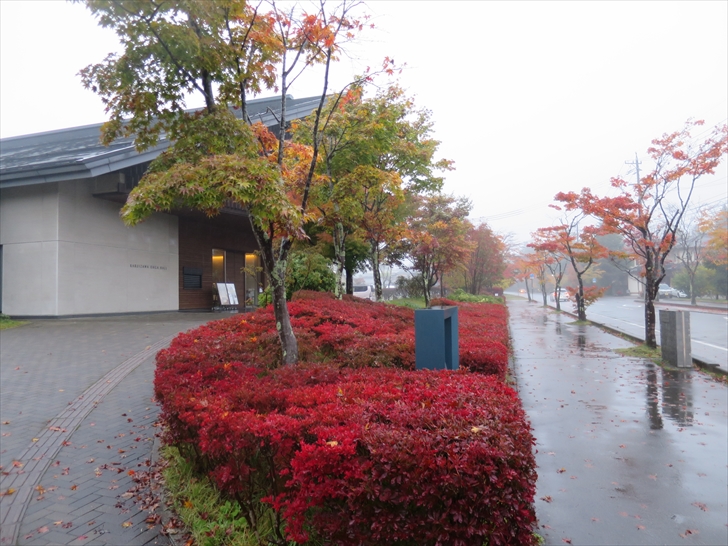 ���z�[���h�E�_���c�c�W