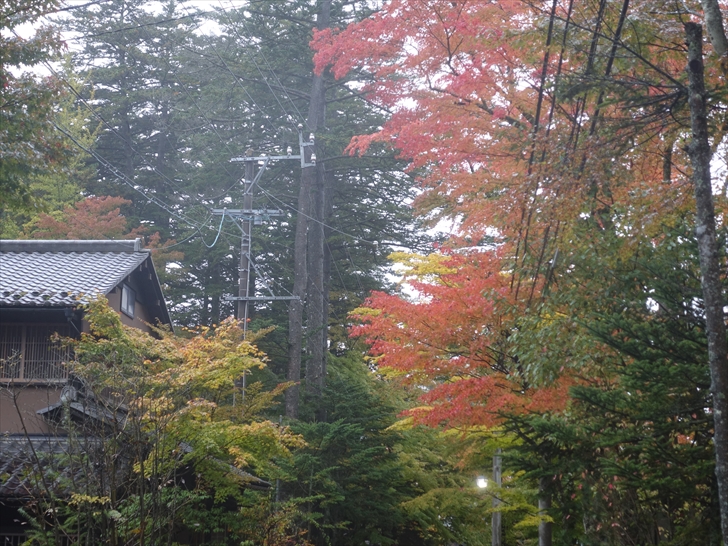 ��◷�ٕt�߂̍g�t