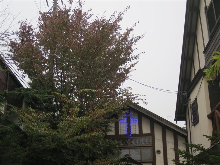 ���y����ʂ� �y��򋳉�