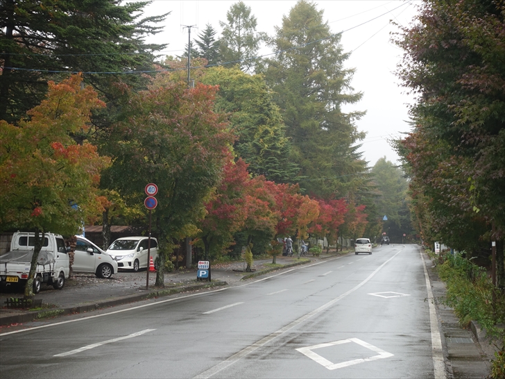 �X�H���̍g�t