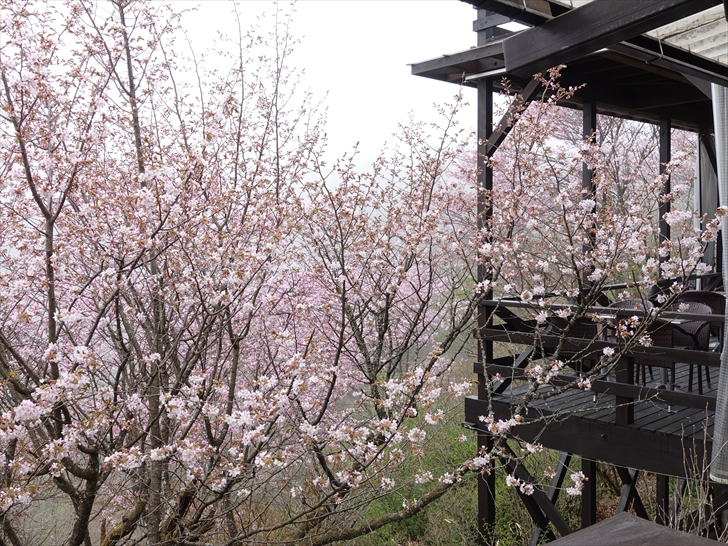 �����̉� �W�]��
