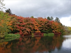 軽井沢 雲場池 雲場池 左側 紅葉