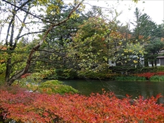 軽井沢 雲場池 雲場池 一周 紅葉