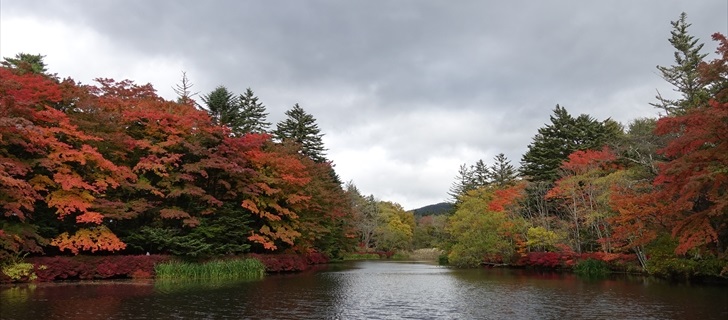 軽井沢 雲場池 軽井沢 雲場池の紅葉が見頃になってきました