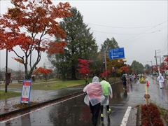 軽井沢 軽井沢リゾートマラソン2017