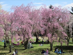 アウトレットツリーモール桜
