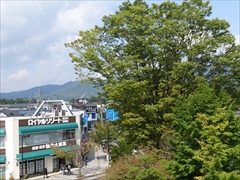 軽井沢駅北口の木々