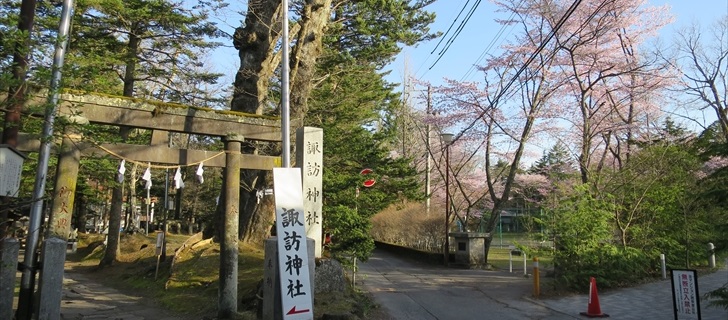 諏訪神社の鳥居から諏訪の森公園の桜を望む