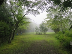 諏訪の森公園 濃霧