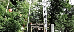 軽井沢 諏訪神社 夏
