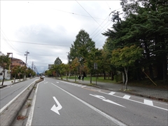 軽井沢国道18号の街路樹