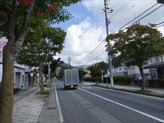 軽井沢本通りの街路樹