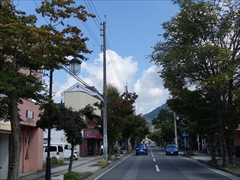軽井沢本通りの街路樹
