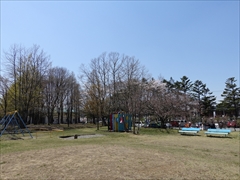軽井沢 矢ヶ崎公園・大賀ホール 矢ヶ崎公園 遊具・桜
